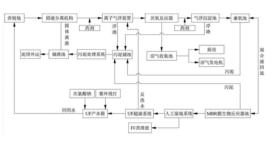 農(nóng)村養(yǎng)殖戶如何低成本有效處理污水，這兩種做法你應該知道!02