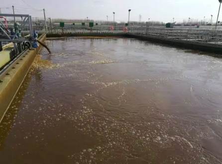 屠宰污水處理設備原理及流程（屠宰污水處理方法）