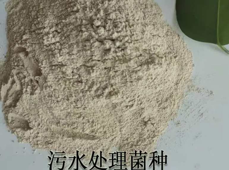 硝化菌種多少錢(qián)（硝化菌種原理及用途）